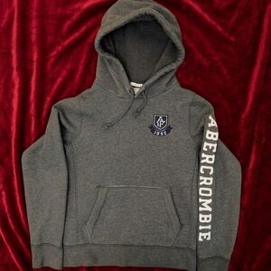Vintage Abercrombie & Fitch Gray Hoodie with Emblem Muscle Fit Y2K